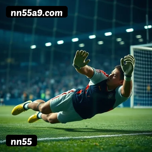 Níveis do programa VIP da nn55